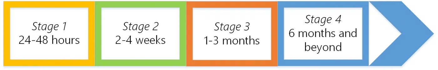Screenshot showing roadmap timeline