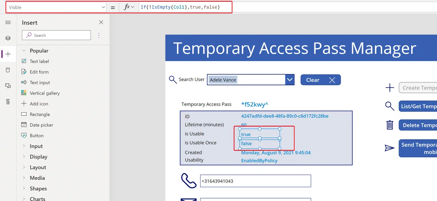 Power Apps label visibility settings for conditional pass details