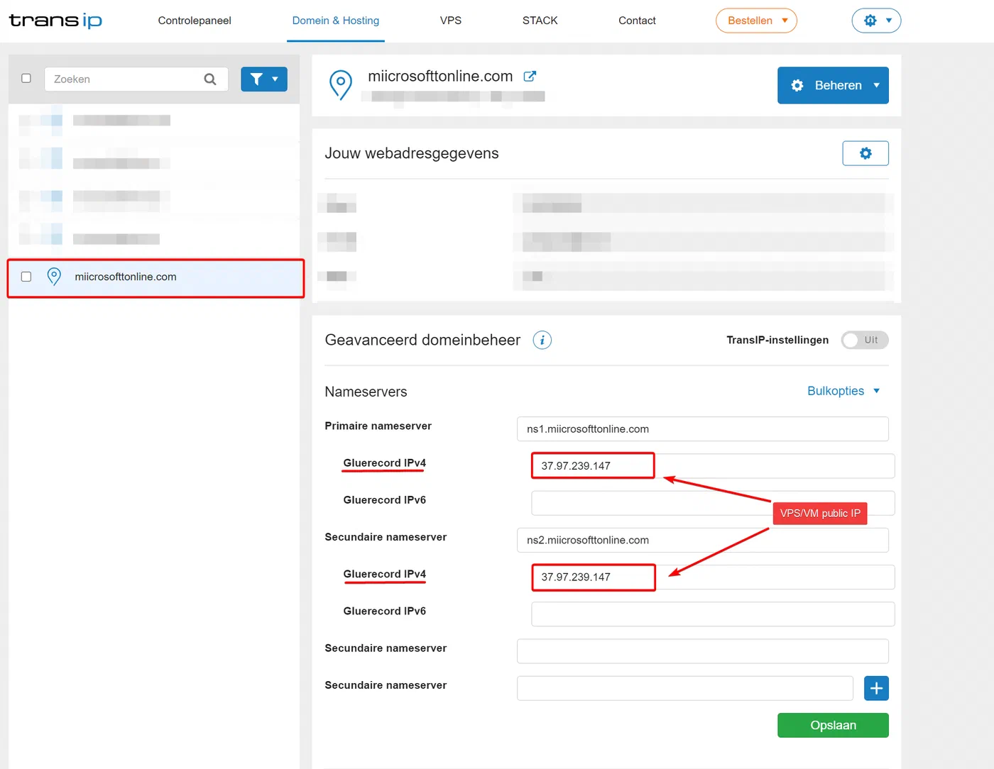 Screenshot related to Step 2 - Domain & DNS glue records