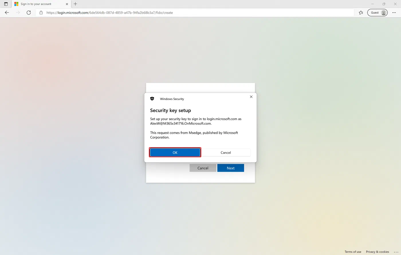 Screenshot: image 12