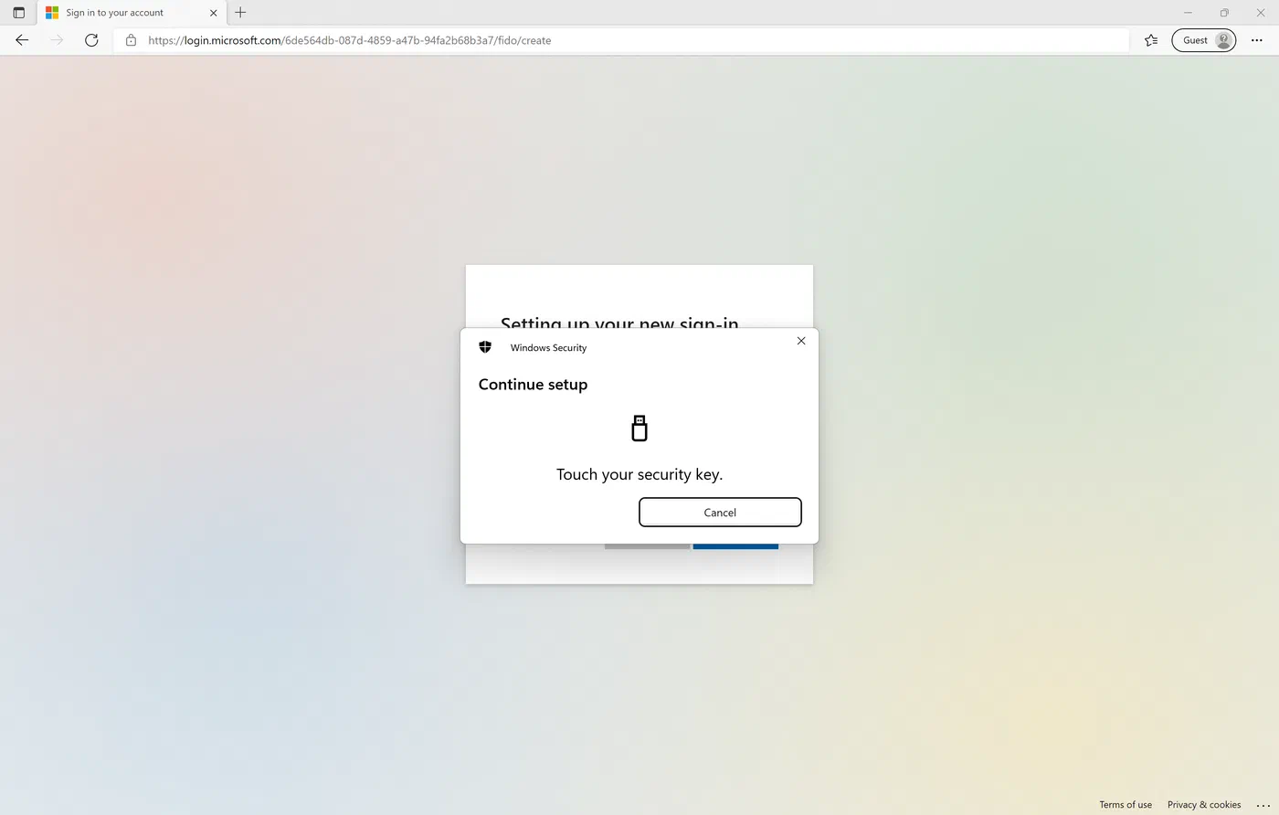 Screenshot: image 17