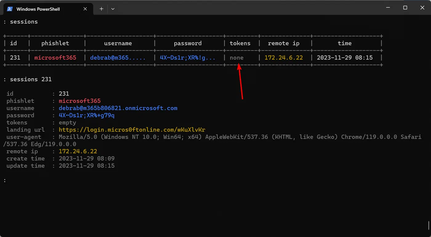 Screenshot: image 28