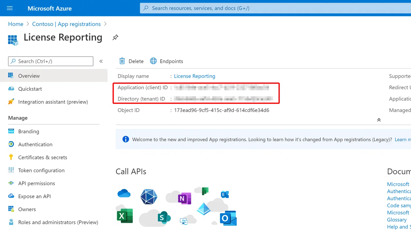App registration overview with application and directory identifiers